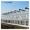 Greenhouse en verre multi-span agricole